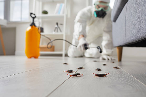 Commercial Kitchen Cockroach Control in Hopkins